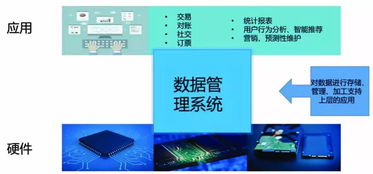大数据技术的发展趋势与数据开发的新方向